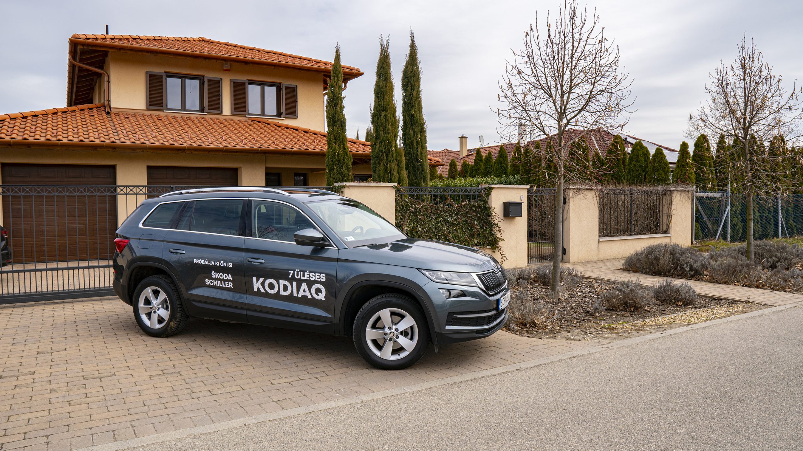 Kodiak, a tekintélyt parancsoló nagy medve